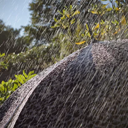 umbrella-in-summer-rain-600x400.jpg